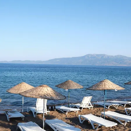 Ekin Assos *