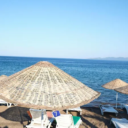 Ekin Assos فندق